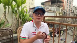 Xin chào các quan anh